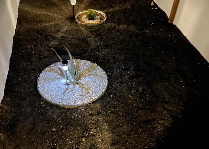 Estudio Olivina Lägenhet *